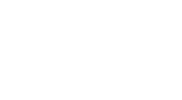 Platin Logo